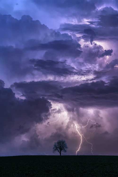 fine art landscape photo of a lonely tree on a hill during a lightning storm